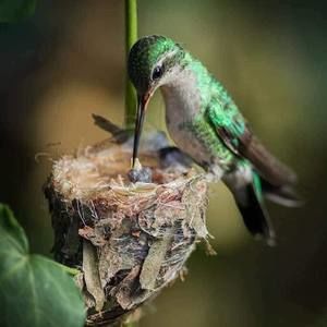 Meet your Posher, Elena